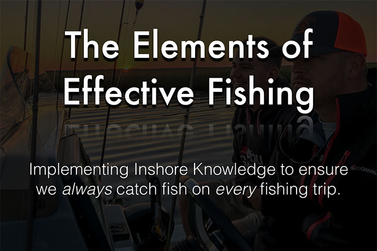 Elements of Effective Fishing