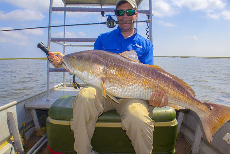 best rod for redfish